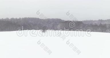 神圣的。 展<strong>开拍</strong>摄的田野和冬季森林树木被雪覆盖在薄雾中。 4k. 完美的打开文本的场景空间